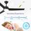52 Inch Black Ceiling Fan With Light, Ceiling Fan With 3 Reversible Blades, 2 Downrods, 6-Speed Remote Control