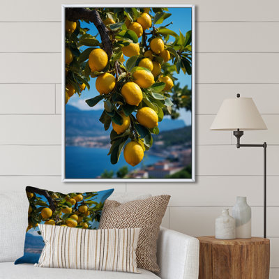" Italy Sorrento Serenade II "