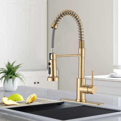 Eqloo Pull Down Kitchen Faucet