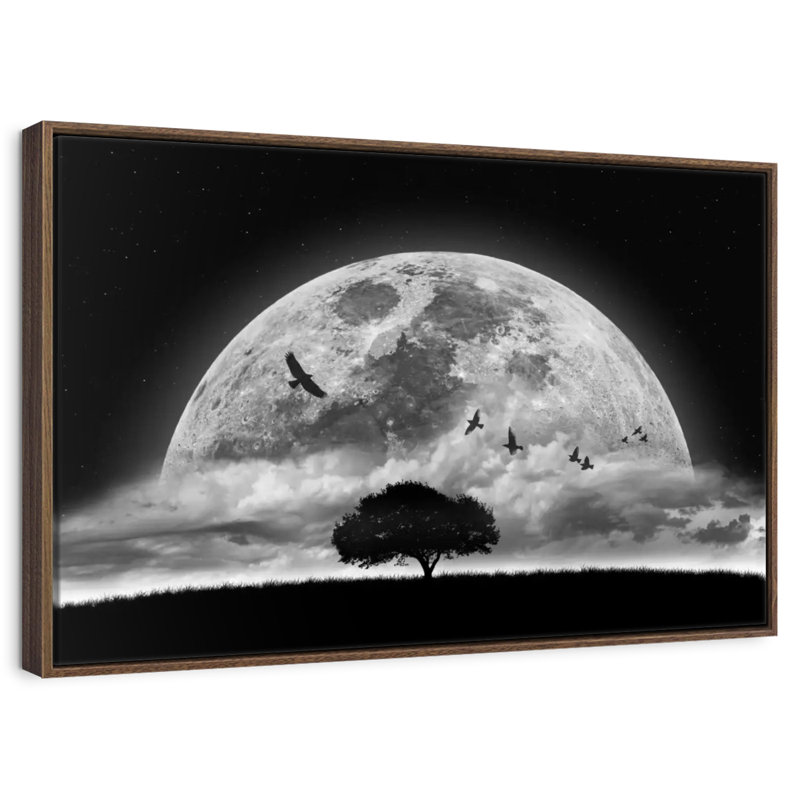 Lune fantastique, Cadre flottant en noyer, 40 po x 27 po