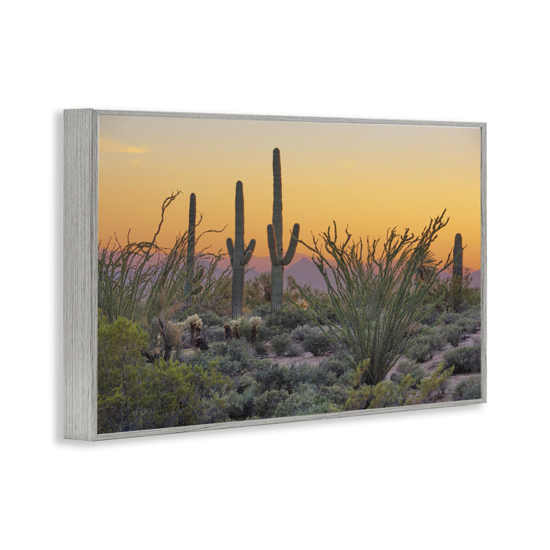 Sunset Desertscape Cacti Giclee Art by Marty Hulsebos, Farmhouse Gray Framed Giclee, 16" H x 24" W