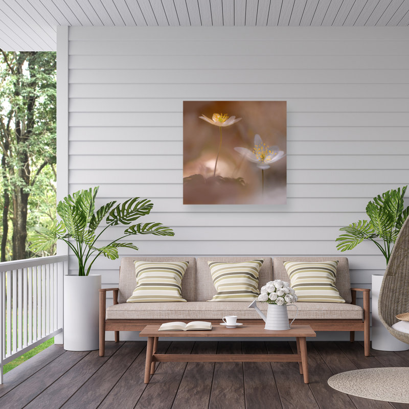 Ylva Sjogren  Freshness Outdoor  Canvas, H 14 po x l 14 po