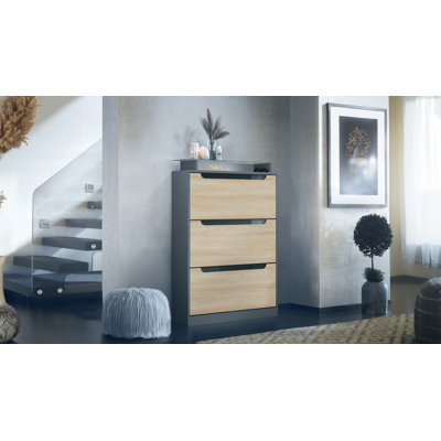 24 Pair Shoe Storage Cabinet