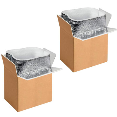  Paquet de 2 boîtes d'expédition isolées de 6 po x 5 po x 9 po avec doublure en feuille d'aluminium, boîtes d'expédition isolantes et froides pour glacière, petite boîte aux lettres réutilisable en styromousse réutilisable