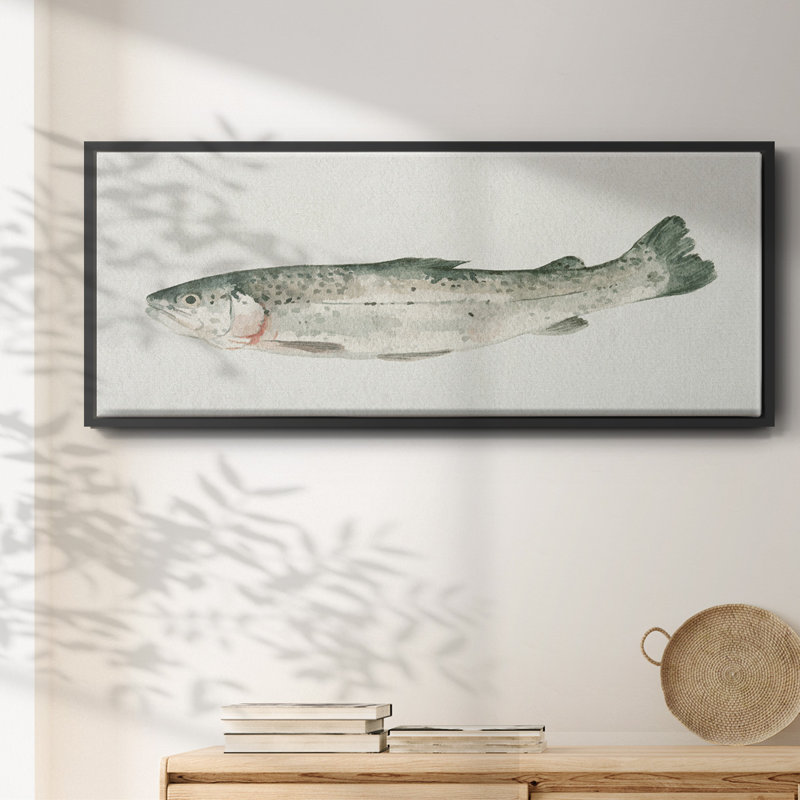 Fresh Catch IV- Framed Canvas, 20" H x 50" W