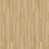 Windsail Oak