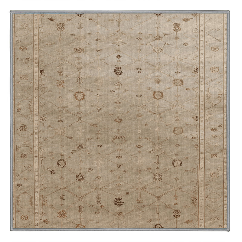 Machine Washable Turkish Gray Area Rug, Square 5'