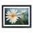 Black Framed selected