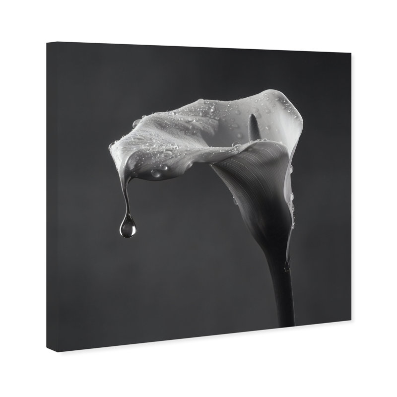 Midnight Rain Print by Oliver Gal, 12"H x 12"W, Gallery Wrapped