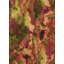 Tapis 100% à motif lavable à la machine 2989 6-68304468