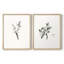 «Vintage Floral XXII», impression giclée sur cadre - ensemble de 2-813104443-813104423