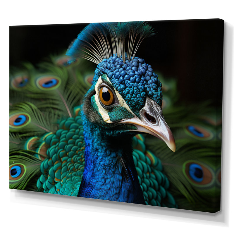Teal Green Peacock Portrait - Animals Wall Art Prints, H 12 po x l 20 po x P 1 po, Toile tendue