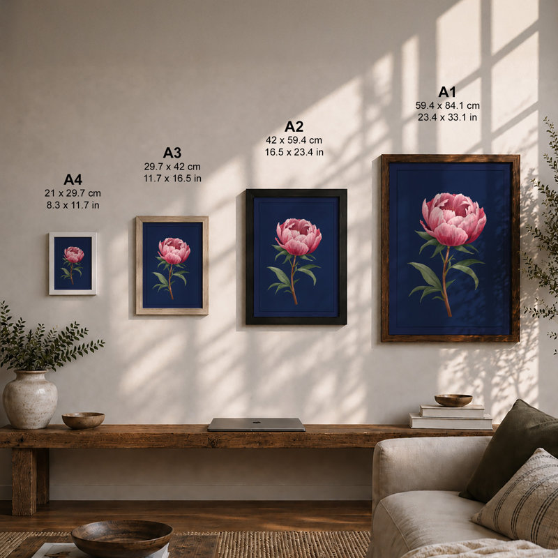 Peony in Navy Botanical - Framed Print, Unframed, A3 - 42.0 x 29.7 cm