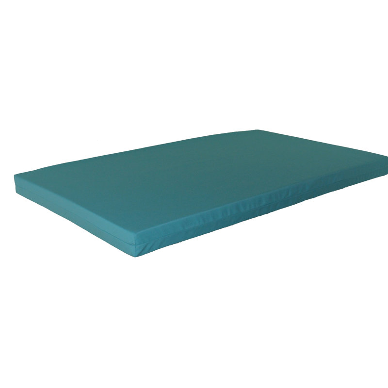 Carol Rosecliff Heights Outdoor Seat Cushion, Aqua, Twin