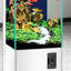 Aquarium 30-35 gallons-129873516-129873518