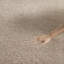 Wiley Solid Colour Area Rug-1611907955