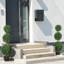 Banasky 100cm Faux Boxwood Topiary in Pot