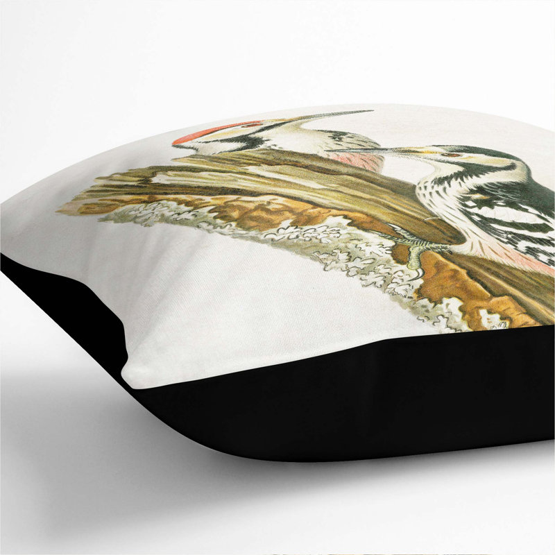 Square Cushion, 55cm H x 55cm W x 20cm D, Black