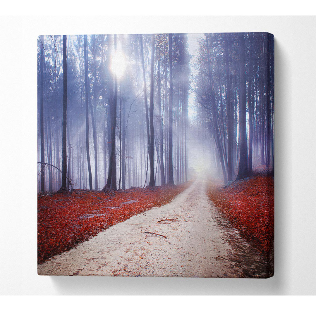 Sun Blaze Through The Mist Square Canvas Print