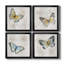 Carte postale papillon I - ensemble de 4 peintures sur toile encadrées-1094552957-1094552945