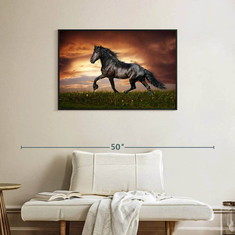 Cheval baroque, Cadre flottant noir, 37 po x 25 po