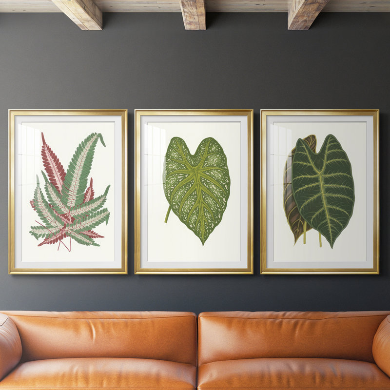 Feuilles de collection IV - impression encadrée sur mesure de qualité supérieure - 3 pièces, H 15 po x l 19 po