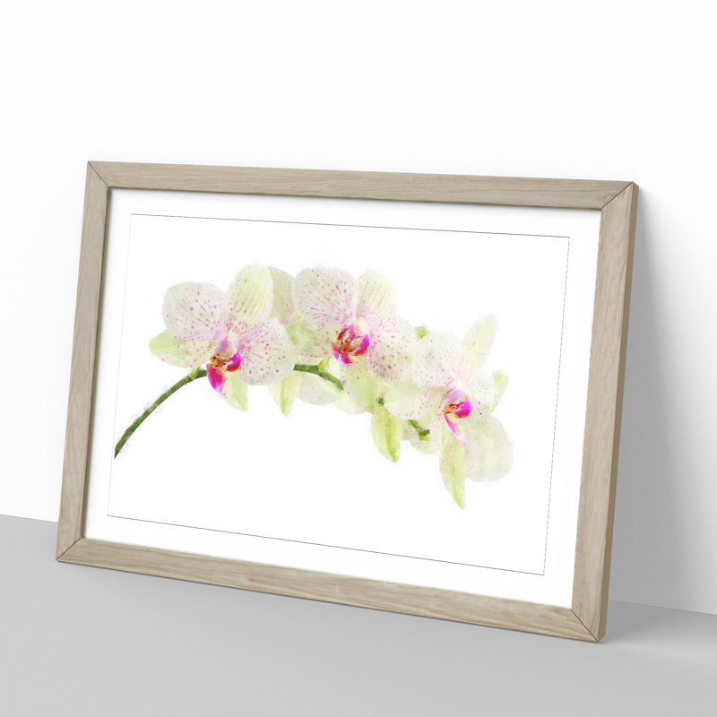 Orchid Flowers Vol.1 - Framed Print, 36cm H x 48cm W x 2cm D, Oak Framed