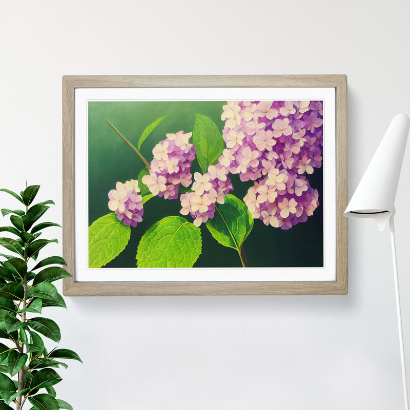Gorgeous Hydrangea Flowers 1 Piece Single Picture Frame Wall Art, 25cm H x 34cm W x 2cm D, Oak Framed