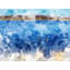 Canadian Geese 2524 Print by Chamira Young-71202445-71202446