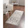 Bracamonte Oriental Indoor Rug