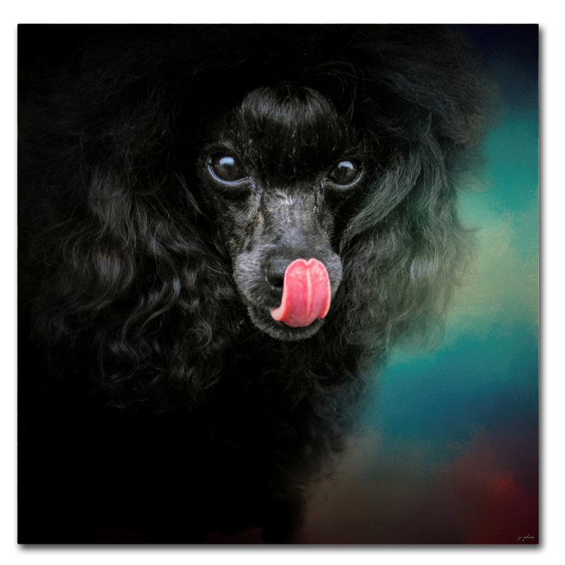 «Traiter Snatcher Toy Black Poodle» de Vidur, impression sur toile tendue, H 18 po x l 18 po