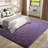 Shahen Rectangle Shag Area Rug-784099184-738442617