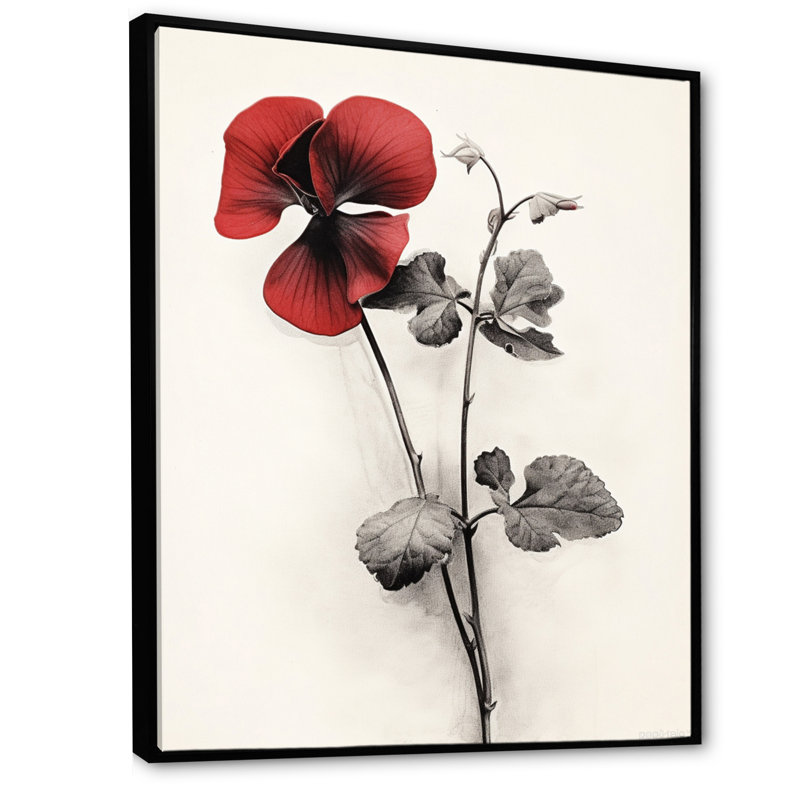 Red Violets Dreamer II, Cadre flottant noir, H 20 po x l 12 po x P 1 po