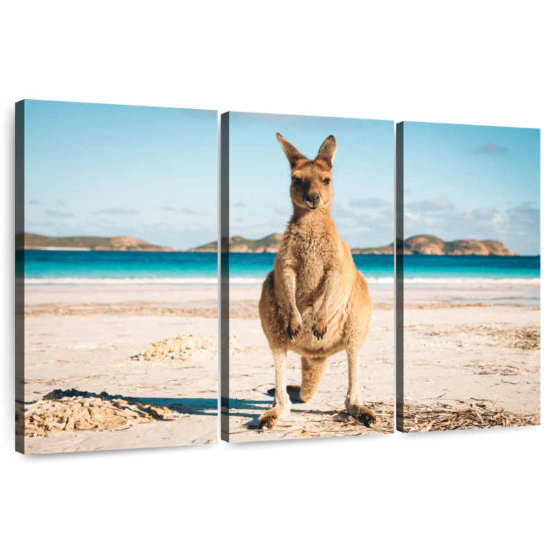 Kangourou Lucky Bay, H 28 po x l 45 po