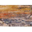 Tapis rectangulaire en laine de conception unique 8 pi 1 po x 10 pi 2 po Tency