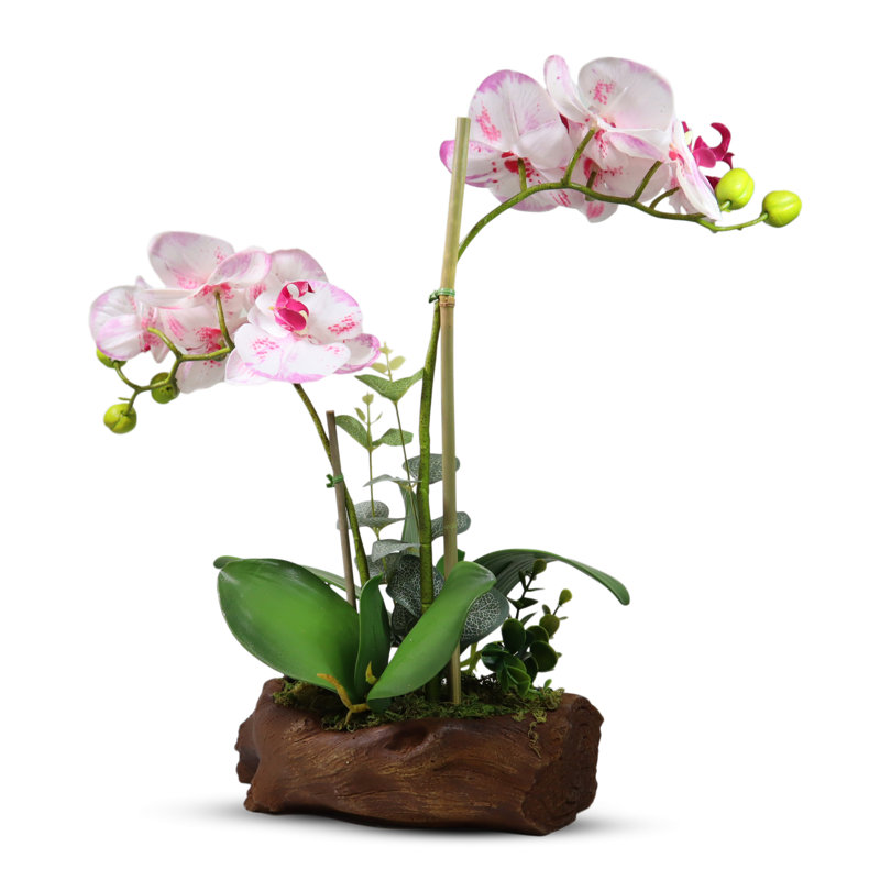 Orchidée rose réaliste dans un pot à fleurs en bois