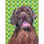 Labrador (brun) sélectionné