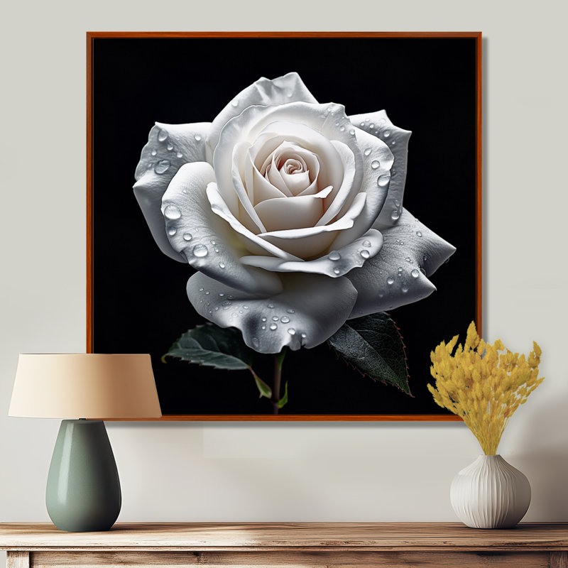 Blooming White Rose On Black - Rose, art mural, H 30 po x l 30 po x P 1 po, Toile avec cadre flottant brun