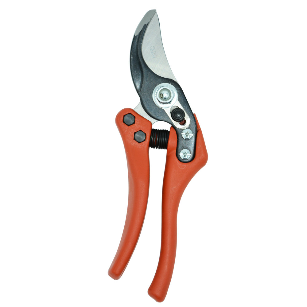 Foarfeca de Gradina 2