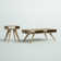 Rabideau 2 Piece Coffee Table Set