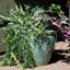 Jardinière ronde en céramique pour l'extérieur - 15 po x 15 po x 12 po - Seaside Dreams-600306970