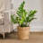 Bayou Breeze Hubertus Seagrass General Basket