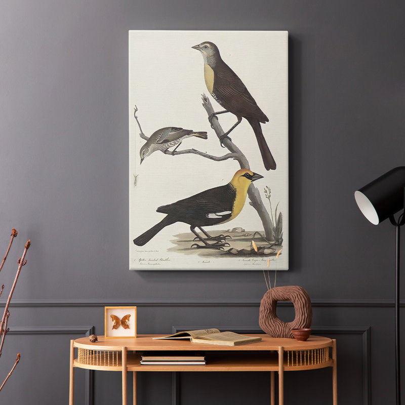 Imprimé animalier rétro - galerie Cavas, H 60 po x l 40 po