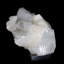 Jayziah gravé apophyllite avec stilbite
