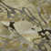 Premium Machine Washable Cerrito AMF558 Brown Rug