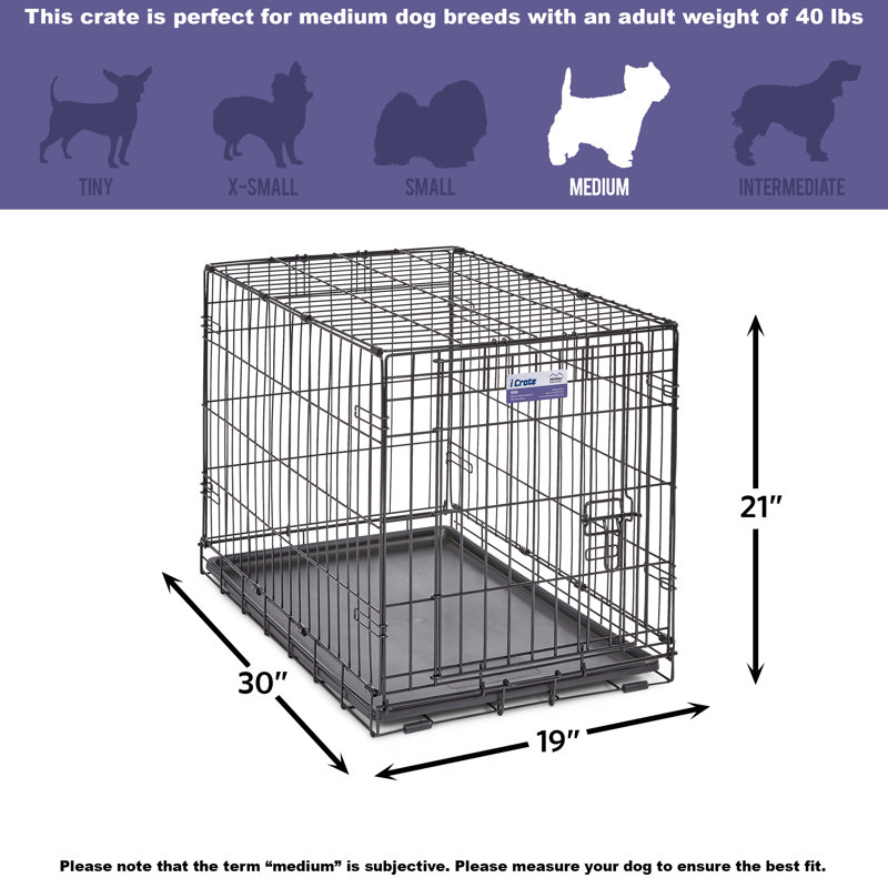 MidWest Homes for Pets Newly Enhanced Single Door iCrate Dog Crate Includes Divider Panel, Medium (21" H x 19" W x 30" D)