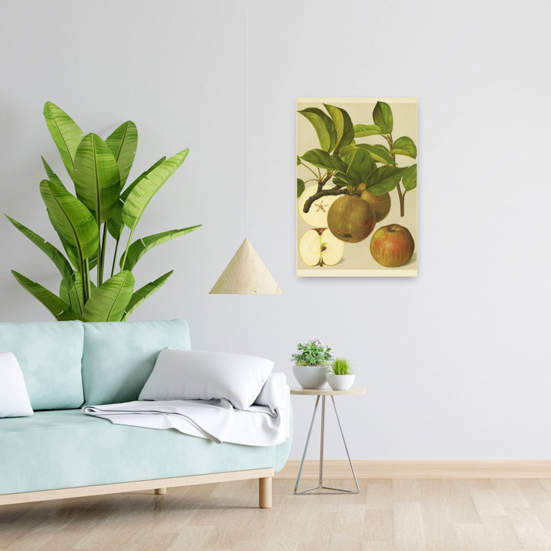 «Russet Apples I», art de paysage naturel rustique biologique rétro, H 24 po x l 16 po
