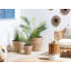 Niwot Plant Pot