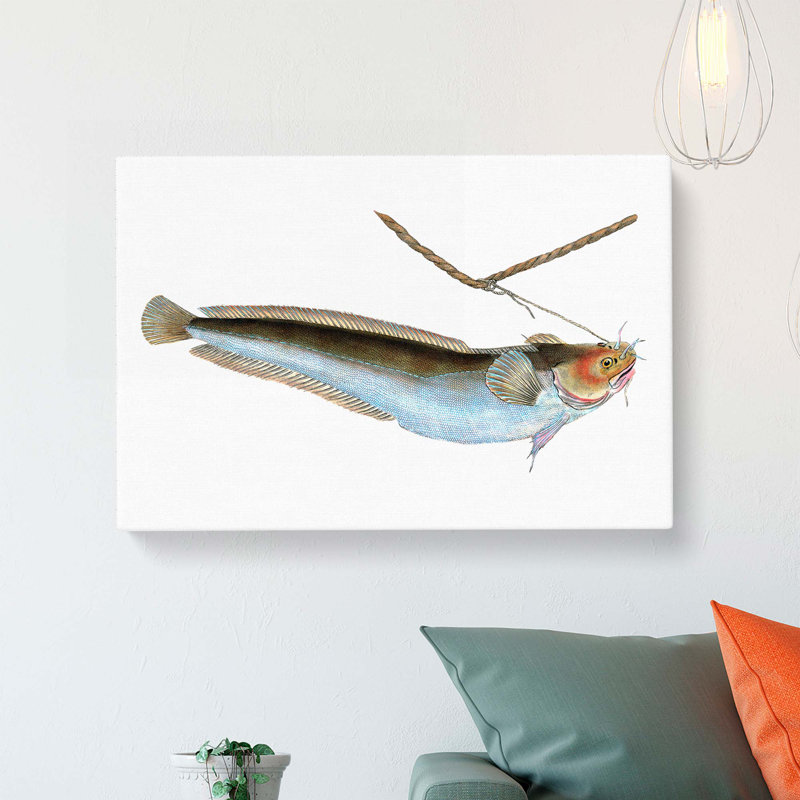 Cod Fish On The Line by Edward Donovan - Wrapped Canvas, 40cm H x 60cm W x 3cm D