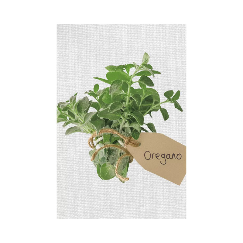 Oregano by Assaf Frank - Wrapped Canvas Print, 66.04 cm H x 45.72 cm W x 1.91 cm D